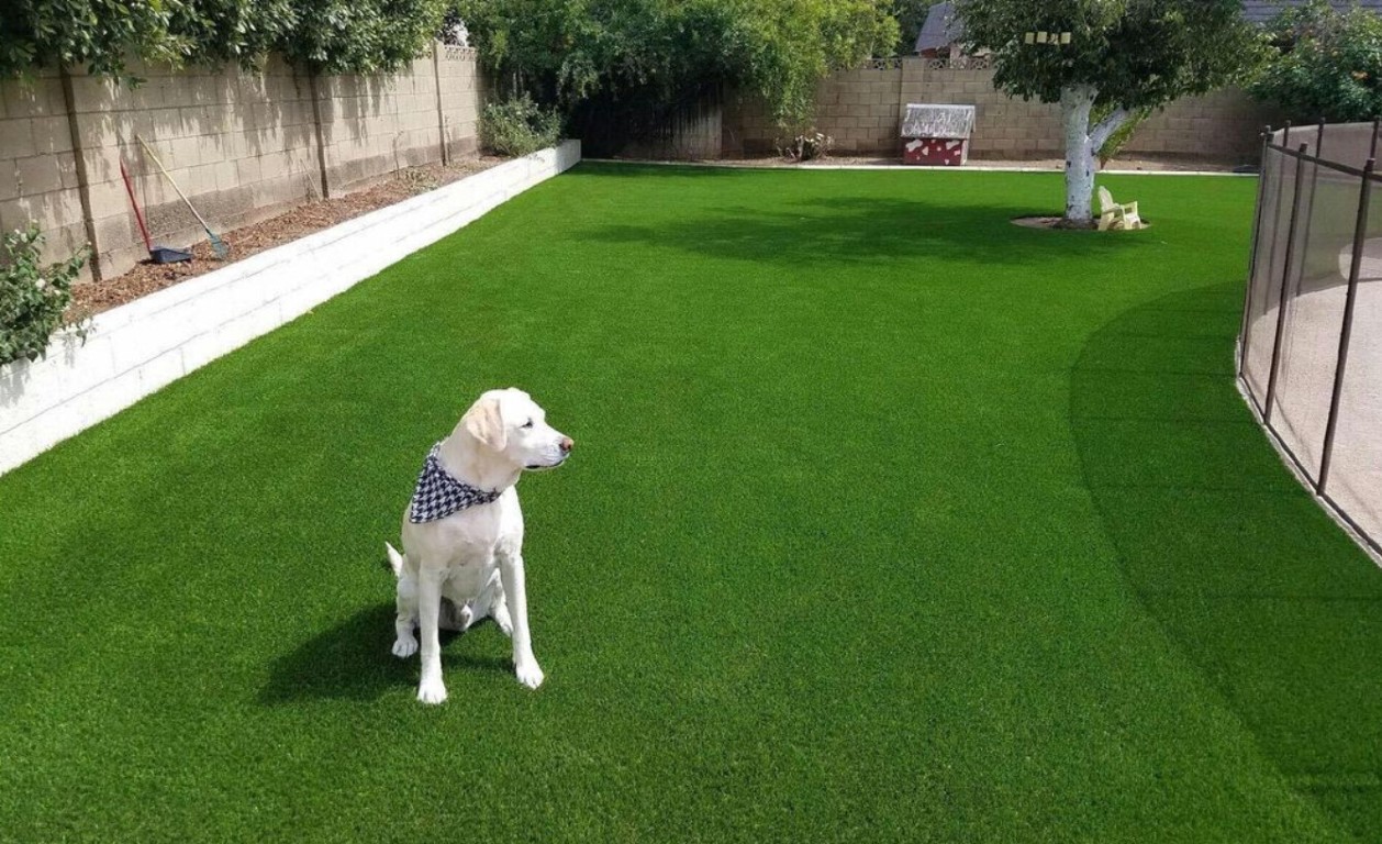 Happy dog enjoying pet-safe artificial grass with excellent drainage in Greenville, NC